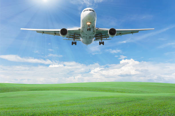 istock Blank billboard for your advertisement with space for text on green grass field,blue sky white cloud background. 861979204
