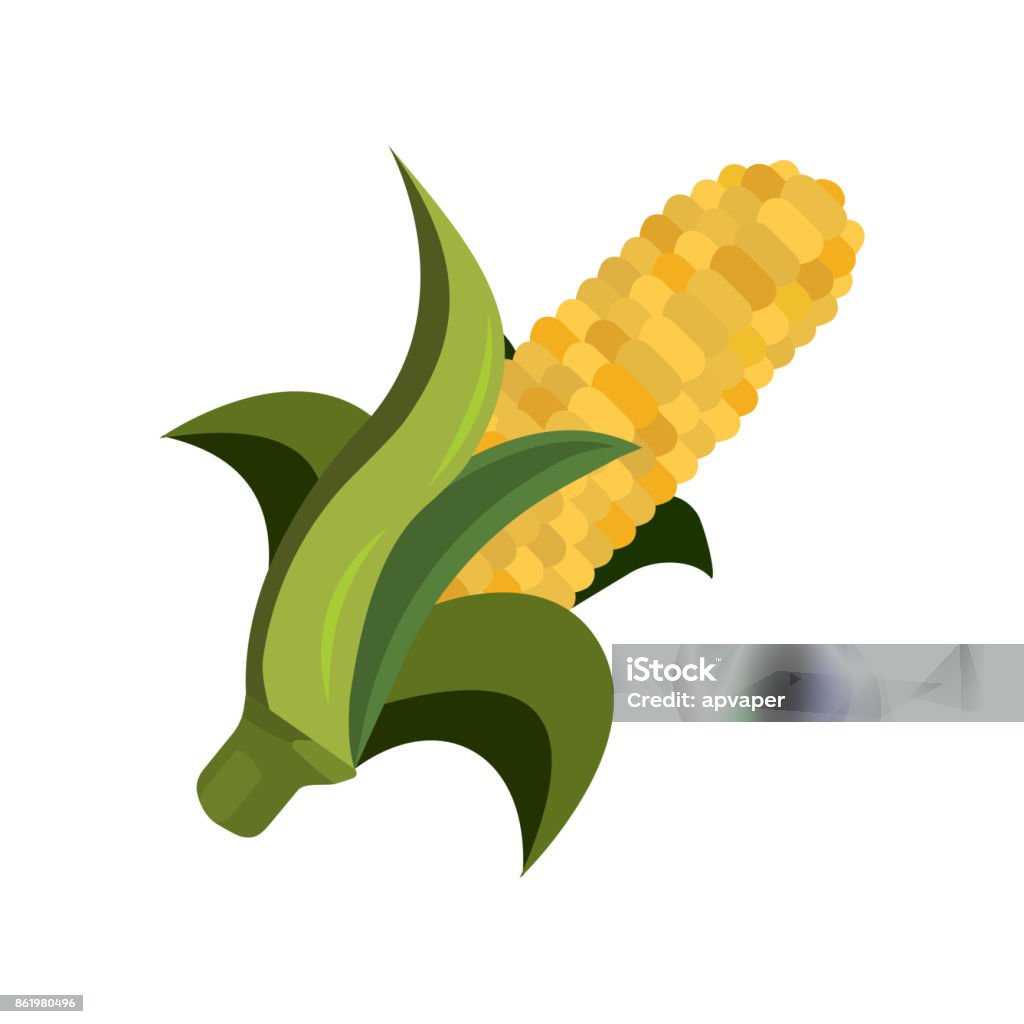 Ilustración de Icono De Maíz Estilo De Dibujos Animados Ilustración Del Vector Para El Día De Acción De Gracias y más Vectores Libres de Derechos de Alegre - iStock Ilustración de Icono De Maíz Estilo De Dibujos Animados Ilustración Del Vector Para El Día De Acción De Gracias y más Vectores Libres de Derechos de Alegre - iStock