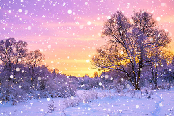 istock winter landscape with forest, trees and sunrise 861986436
