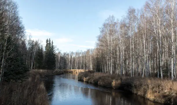 Tolovana River, Alaska