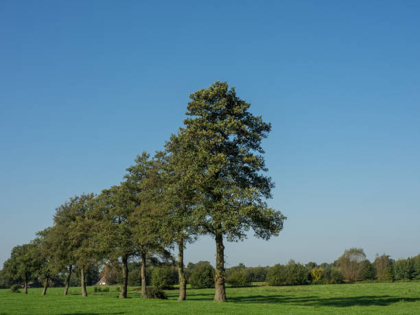 istock Haaksbergen in the netherlands 861991612