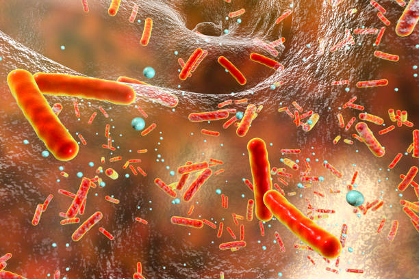 bactéries multirésistantes à l’intérieur d’un biofilm - mrsa infectious disease bacterium science photos et images de collection