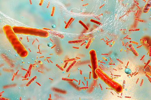 Bacterias multirresistentes dentro de una biopelícula photo