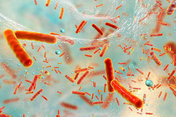 Multidrug resistant bacteria inside a biofilm Antibiotic resistant bacteria inside a biofilm, 3D illustration. Biofilm is a community of bacteria where they aquire antibiotic resistance and communicate with each other by quorum sensing molecules antibiotic stock pictures, royalty-free photos & images