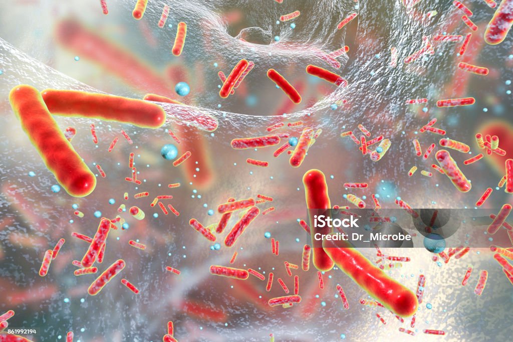 Bacterias multirresistentes dentro de una biopelícula - Foto de stock de Resistente a los antibióticos libre de derechos