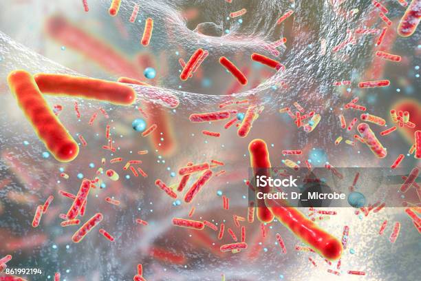 Bacterias Multirresistentes Dentro De Una Biopelícula Foto de stock y más banco de imágenes de Resistente a los antibióticos