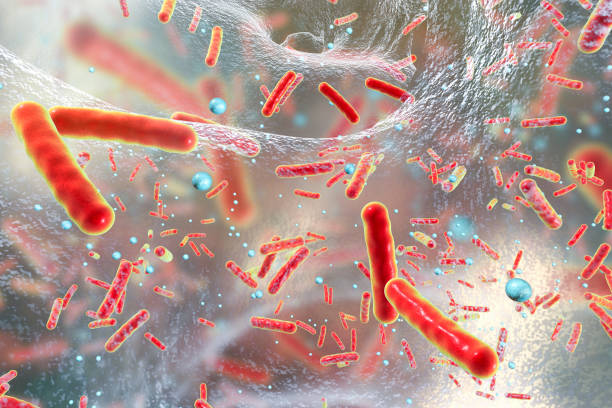 bactérias multi-droga resistentes dentro um biofilme - mrsa infectious disease bacterium science - fotografias e filmes do acervo