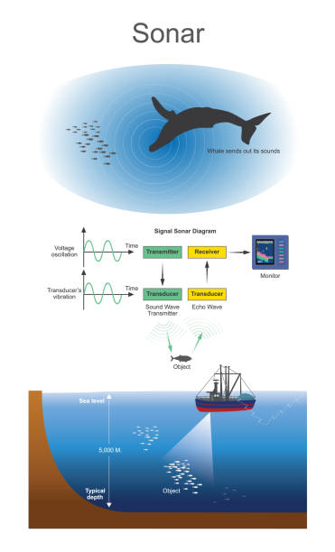 illustrations, cliparts, dessins animés et icônes de sonar. bonne navigation et télémétrie. - sine wave oscillation energy sound