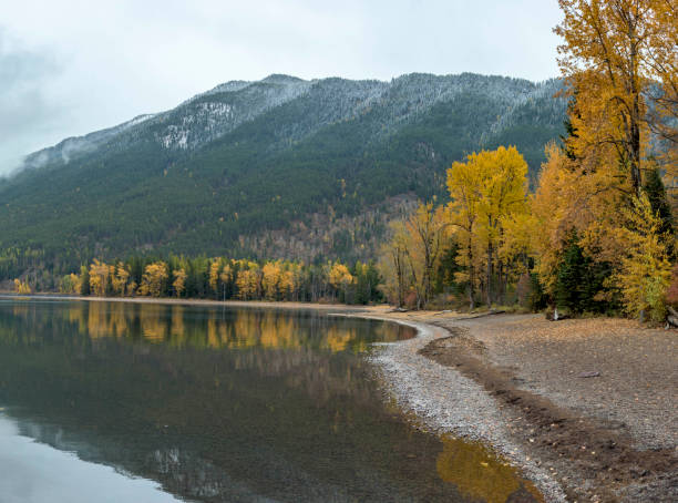 fall colors on the shoreline of lake mcdonald in glacier national park. - mcdonald lake imagens e fotografias de stock