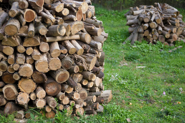 istock Firewoods piled up in traditional way to protect from rain and moisturizing 862003436