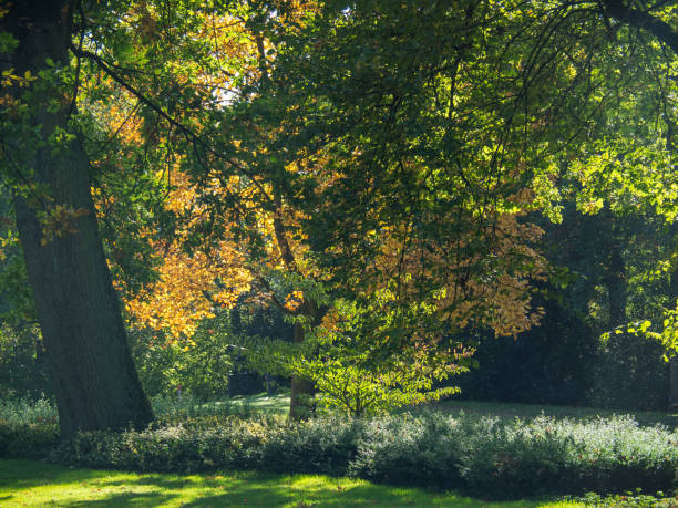istock Haaksbergen in the netherlands 862003772