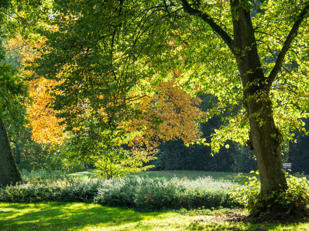 istock Haaksbergen in the netherlands 862003850