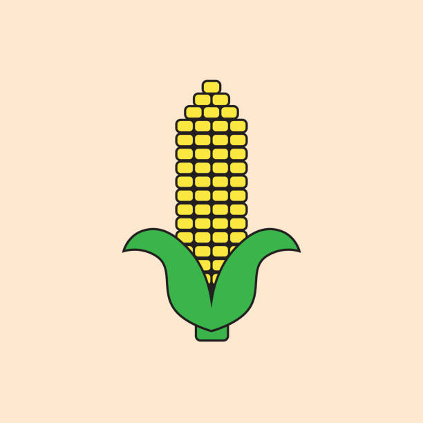 corn cob symbol herbsternte konzept - corn stubble illustrations stock-grafiken, -clipart, -cartoons und -symbole