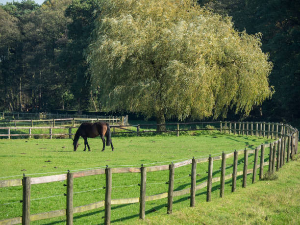 istock Haaksbergen in the netherlands 862007446