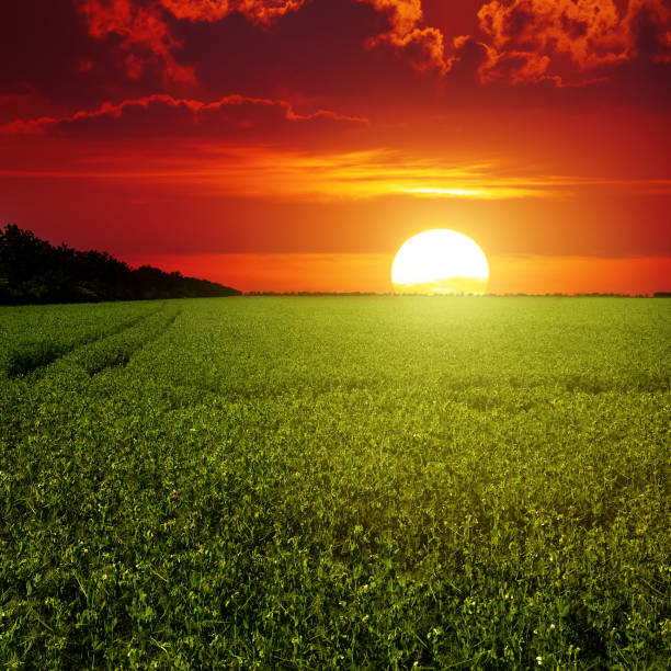 istock Red scenic sunrise over a field 862010068
