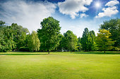 Bright summer sunny day in park with green fresh grass and trees.