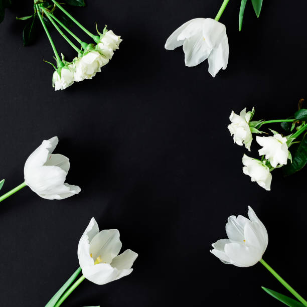 istock Frame of white tulips on black background. Flat lay, Top view 862014438