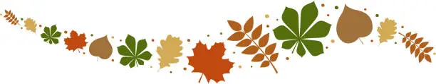 Vector illustration of Autumnal leaves - concept of banner. Vector.