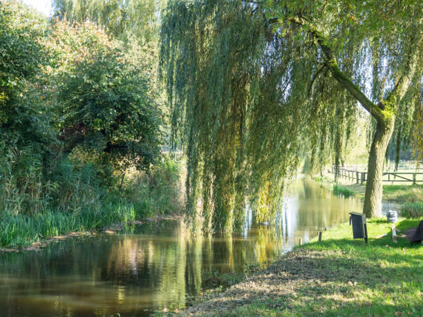 istock Haaksbergen in the netherlands 862018594