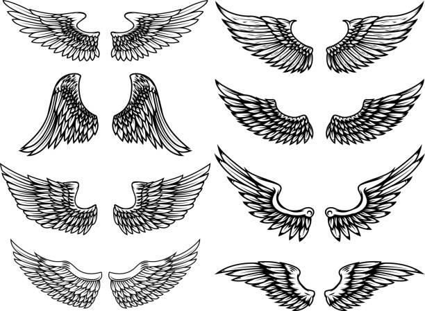 Set of vintage wings illustrations isolated on white background. Design element for label, emblem, sign. Vector illustration. Set of vintage wings illustrations isolated on white background. Design element for label, emblem, sign. Vector illustration. wings tattoos stock illustrations