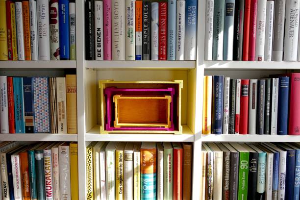 istock Organizing the Ibrary: full and empty shelves 862032708