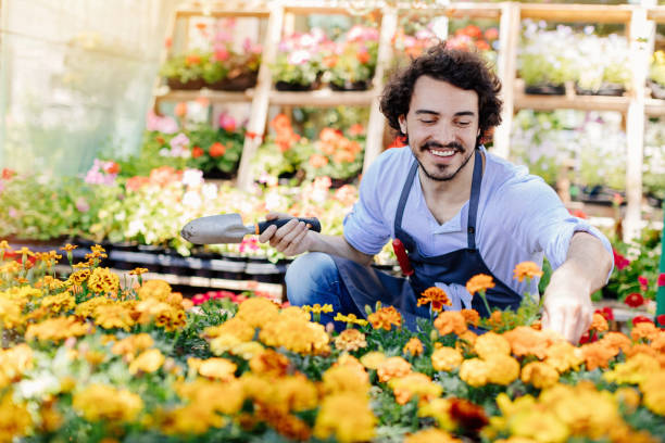 istock Potting flowers for the summer garden 862034260