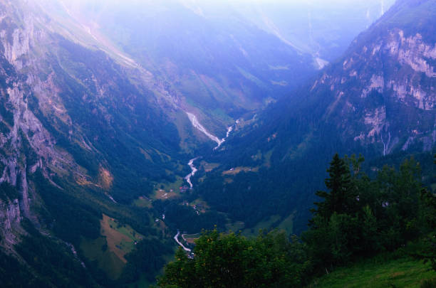 dolina lauterbrunnen (region jungfrau, szwajcaria) w wieczornej mgle - jungfrau waterfall tree nature zdjęcia i obrazy z banku zdjęć