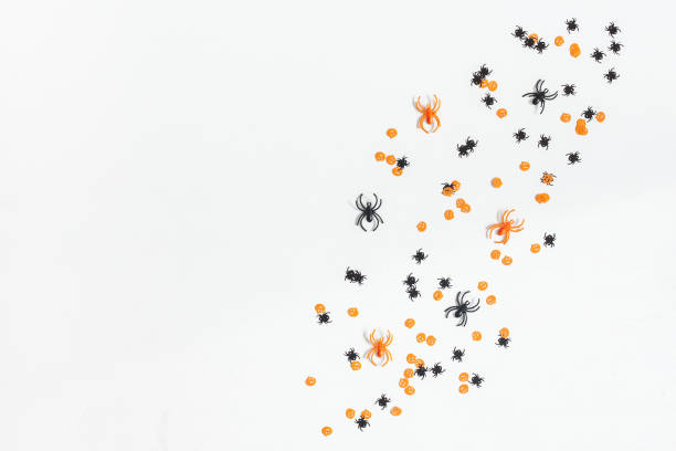 Halloween Confetti on white background. Flat lay, top view