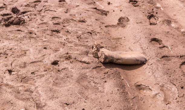istock Texture of wet brown mud with footprint 862051626