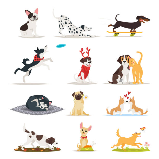 set of different dog breeds Vector cartoon style set of different dog breeds. Dogs sitting, eating and running. dog sitting stock illustrations