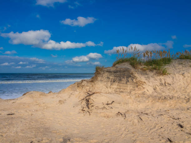 istock Wild beach of Cape Hatteras 862065534