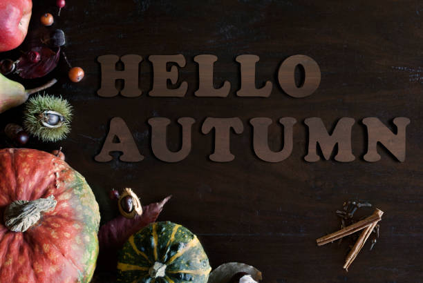 istock beautiful rustic fall flat lay with leaves, pumpkins, chestnuts and letters hello autumn on wooden background 862073166