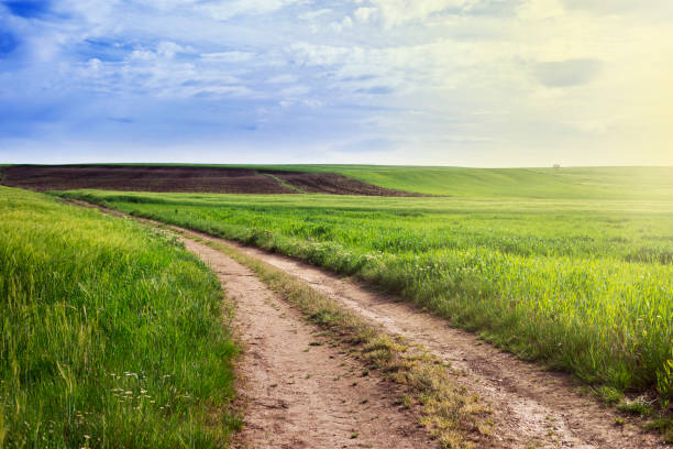 istock Road lane and deep morning sky. 862079348