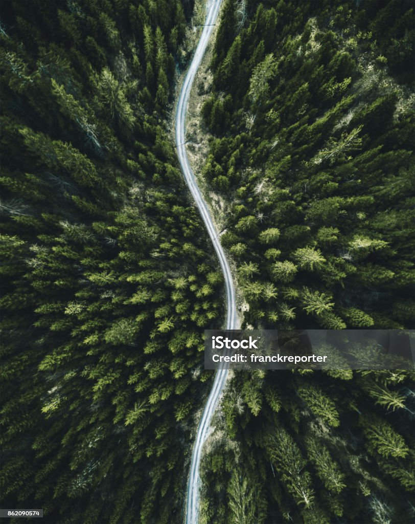 summer forest aerial view in switzerland Forest Stock Photo