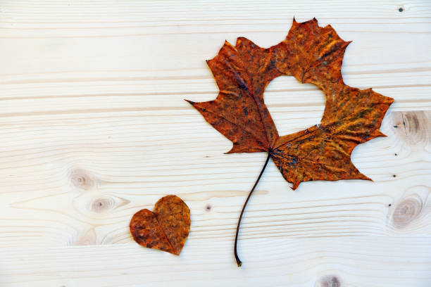 istock Autumn Love - An autumn leaf with a heart 862090714
