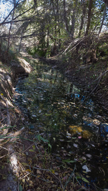 istock Green River with Autumn Leaves 862096844
