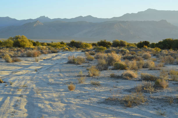 istock golden hour sunlight illuminates desert offroad tracks 862097532