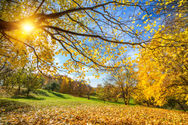 istock Sunny autumn in countryside 862107790