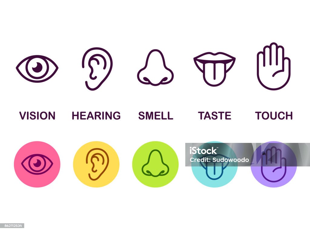 Senses icon set Icon set of five human senses: vision (eye), smell (nose), hearing (ear), touch (hand), taste (mouth with tongue). Simple line icons and color circles, vector illustration. Icon Symbol stock vector