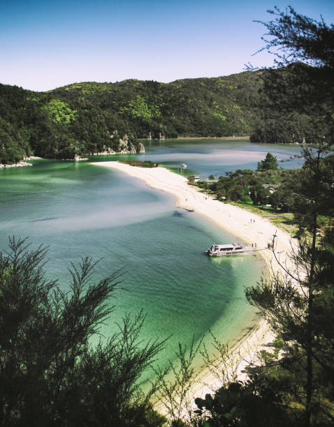 Abel Tasman Coast Track a beautiful view nelson city new zealand stock pictures, royalty-free photos & images