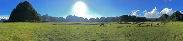 istock Phong Nha, Vietnam 862121084