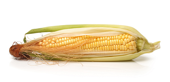 Fresh corn with green leaves still life vegetables  on the white background