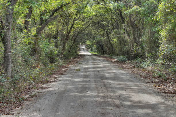 istock Dirt road in the country 862132760