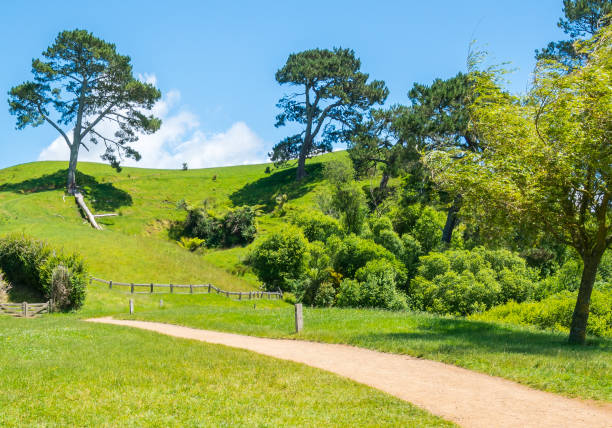 istock Green Grass Field in the Countryside Landscape 862135406