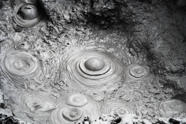Hot Mud Pool in Rotorua, New Zealand stock photo