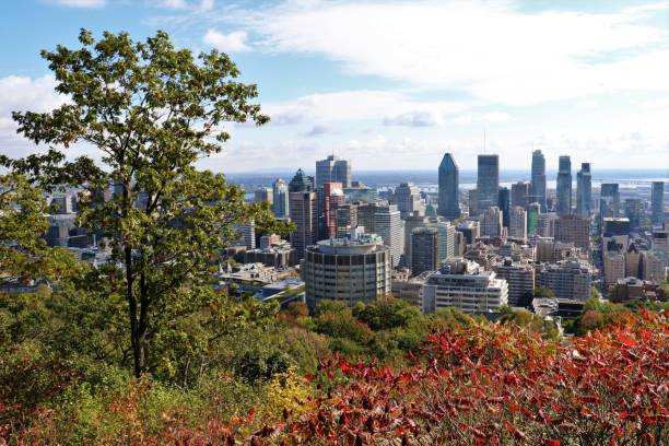 istock View of Montreal 862143460