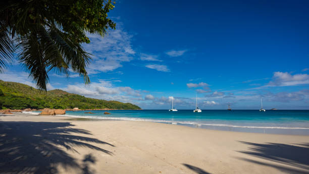 istock Catamarans at anse lazio on the seychelles 15 862147000
