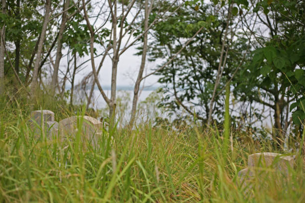 istock Headstones in the overgrown Chinese Cemetery 862149218