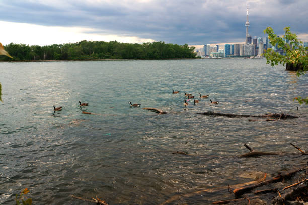 istock Toronto Skyline In The Distance 862149548