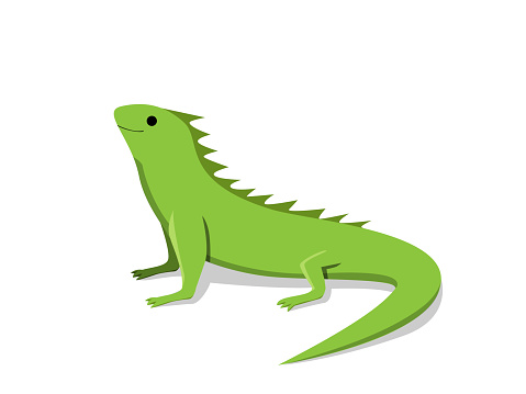 Friendly green iguana in flat style, vector design